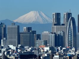 Alasan Rumah di Jepang Tahan Gempa Karena Hal ini, Canggih Banget